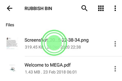 mega.nz recover deleted files|4 Ways to Recover MEGA Files .